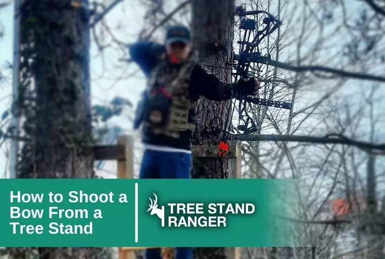 How to Shoot a Bow From a Tree Stand