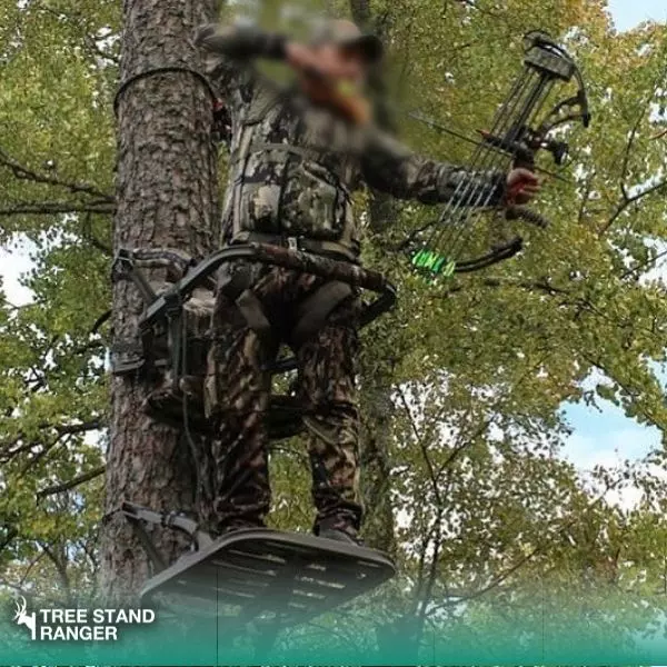 bow shooting from a tree stand