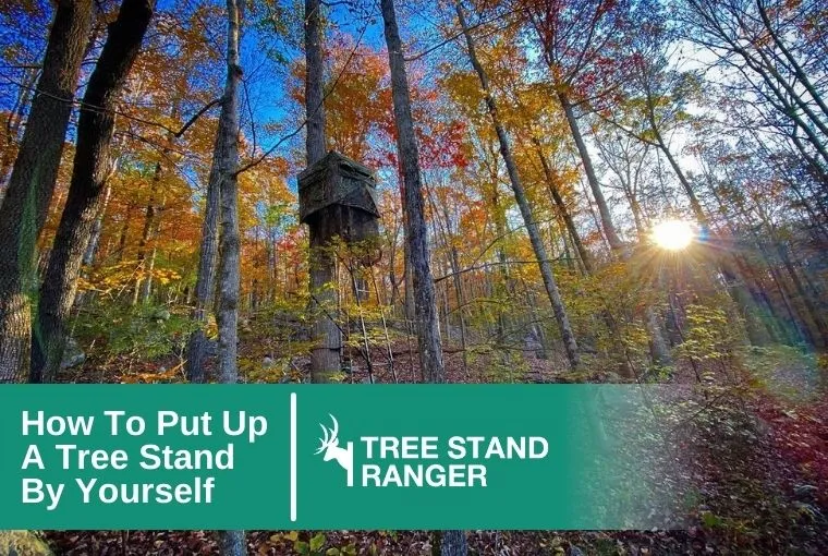 how to put up a tree stand by yourself