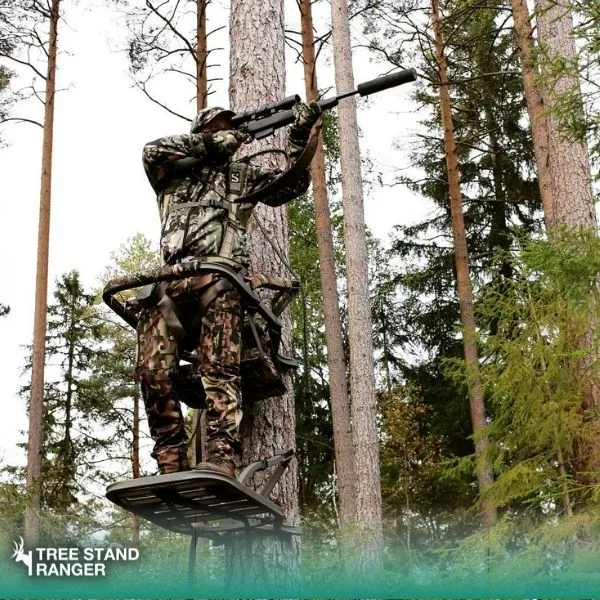 how to set up a tree stand