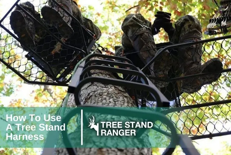 How to Use a Tree Stand Harness