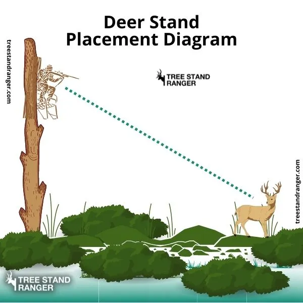 deer stand placement infographic 
