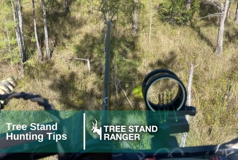 Tree Stand Hunting Tips