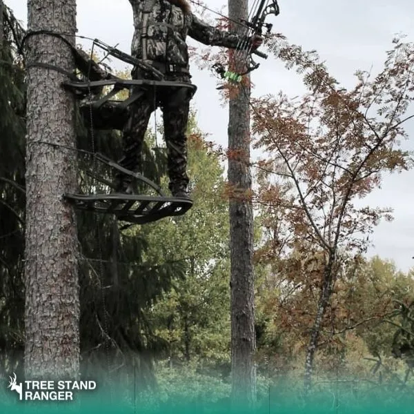 what is a climbing tree stand
