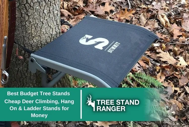 Best Budget Tree Stand