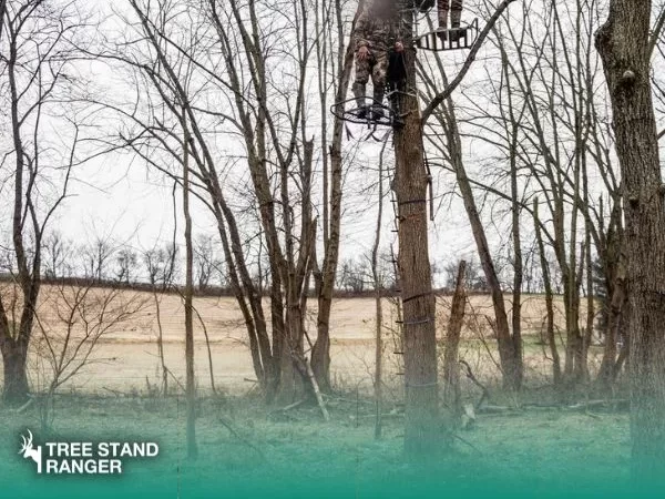 hunters wearing best tree stand safety line