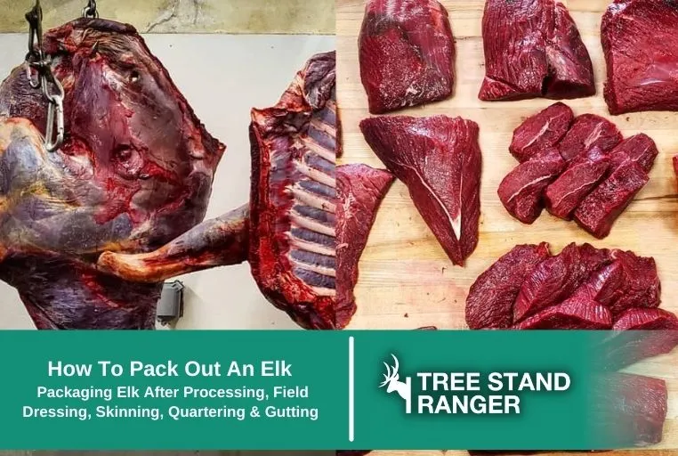 How To Pack Out An Elk Meat After Hunting 2022