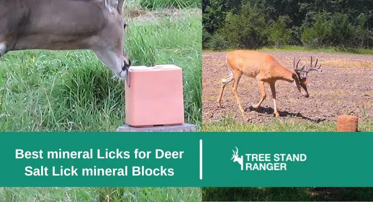 Best mineral Licks for Deer 2024 - Salt Lick mineral Blocks