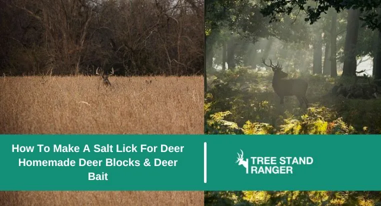 How To Make A Salt Lick For Deer