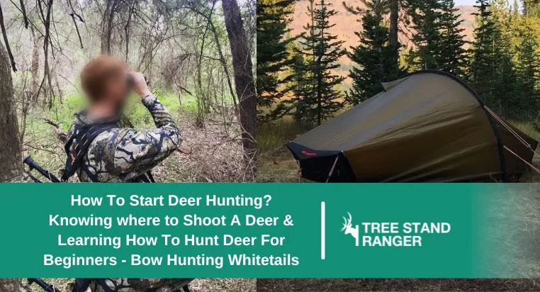 how to start deer hunting