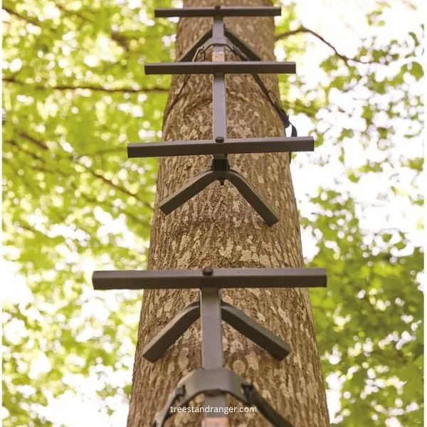 Guide Gear 8 ft. Climbing Sticks 3 pack - best tree stand climbing sticks