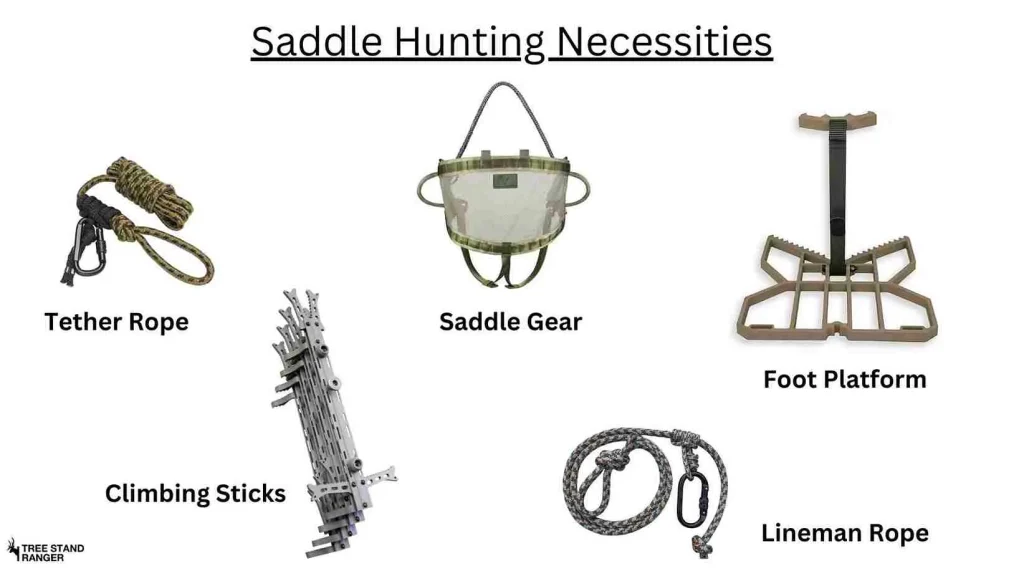 saddle hunting necessities