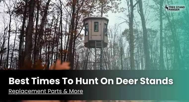 what time to get in deer stand in morning and evening