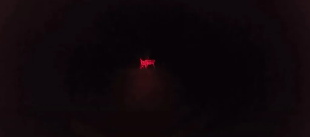 deer at night when used red flashlight